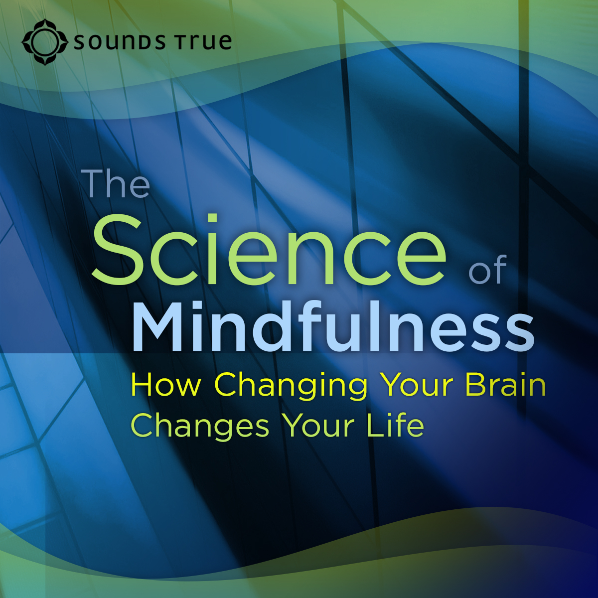 The Science of Mindfulness: How Changing Your Brain Changes Your Life