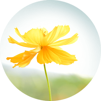 exploration of meditation practice and instruction icon