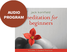 Meditation for Beginners Bonus