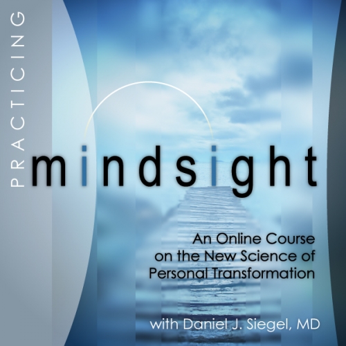 Practicing Mindsight
