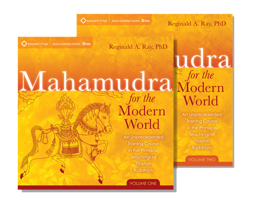 Mahamudra for the Modern World