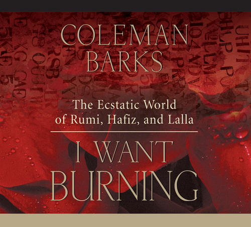 I Want Burning