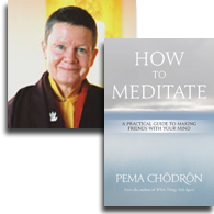 Pema-Chodron-book-130520.png
