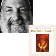 Rabbi-David-A-Cooper-book-120210.png