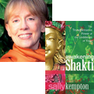 sally-kempton-book-130212.png
