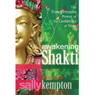 sally-kempton_book.png