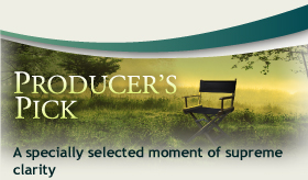 Producer's Pick