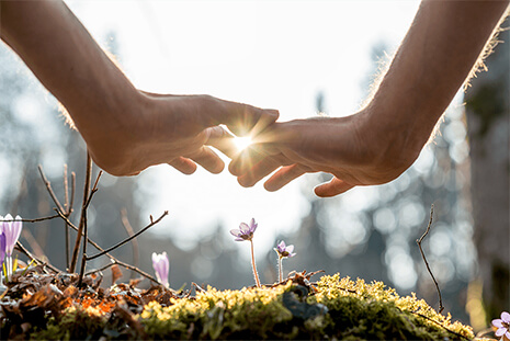 hands over a flower growing on a log