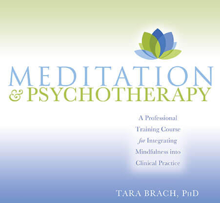 Meditation and Psychotherapy title card