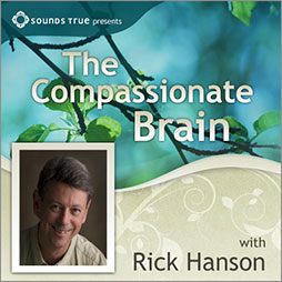 the cover of Rick Hanson's The Compassionate Brain Course that has Rick Hanson's photograph and a background with tree branches covered green leaves